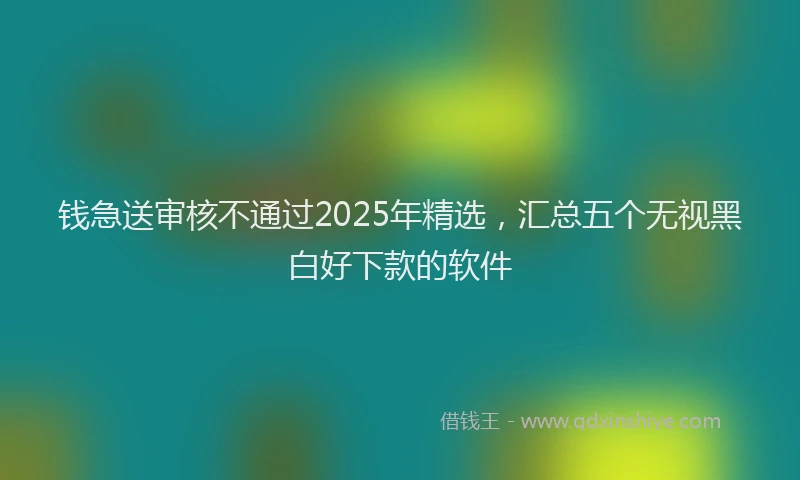 钱急送审核不通过2025年精选，汇总五个无视黑白好下款的软件