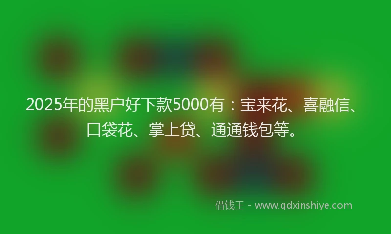2025年的黑户好下款5000有：宝来花、喜融信、口袋花、掌上贷、通通钱包等。