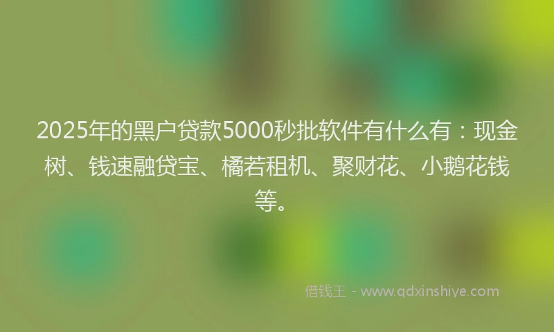 2025年的黑户贷款5000秒批软件有什么有：现金树、钱速融贷宝、橘若租机、聚财花、小鹅花钱等。