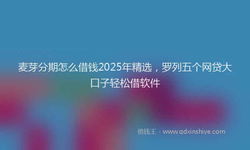 麦芽分期怎么借钱2025年精选，罗列五个网贷大口子轻松借软件