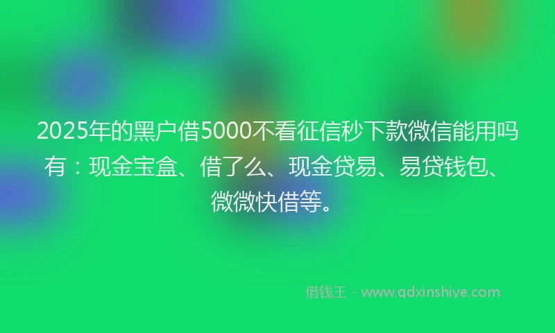2025年的黑户借5000不看征信秒下款微信能用吗有：现金宝盒、借了么、现金贷易、易贷钱包、微微快借等。