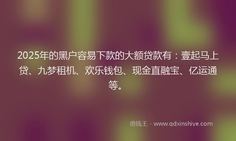 2025年的黑户容易下款的大额贷款有：壹起马上贷、九梦租机、欢乐钱包、现金直融宝、亿运通等。
