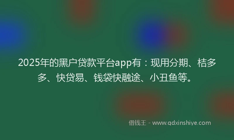 2025年的黑户贷款平台app有：现用分期、桔多多、快贷易、钱袋快融途、小丑鱼等。