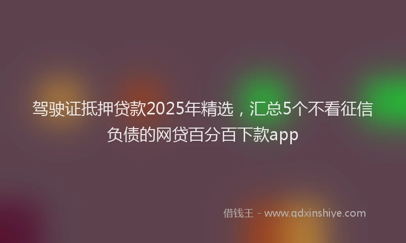 驾驶证抵押贷款2025年精选，汇总5个不看征信负债的网贷百分百下款app