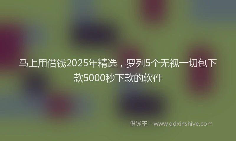 马上用借钱2025年精选，罗列5个无视一切包下款5000秒下款的软件