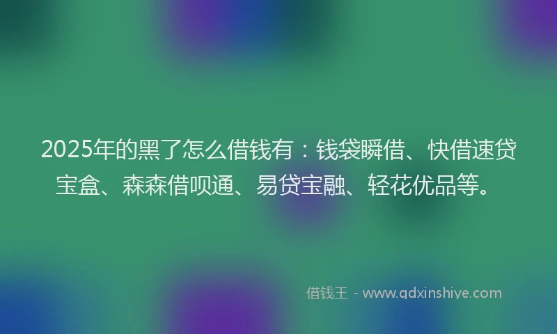 2025年的黑了怎么借钱有：钱袋瞬借、快借速贷宝盒、森森借呗通、易贷宝融、轻花优品等。