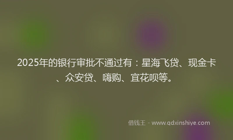 2025年的银行审批不通过有：星海飞贷、现金卡、众安贷、嗨购、宜花呗等。