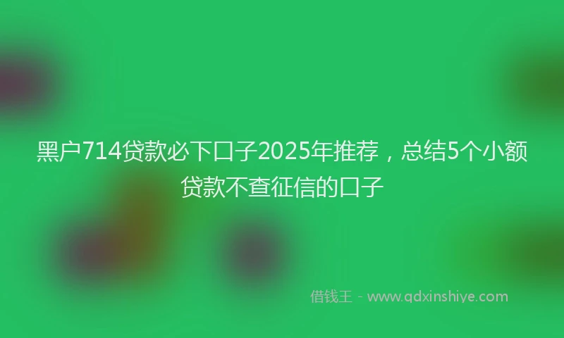 黑户714贷款必下口子2025年推荐，总结5个小额贷款不查征信的口子