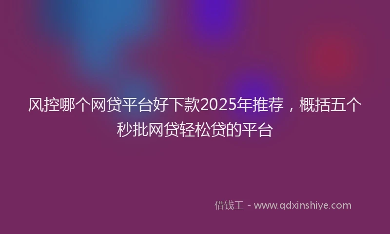 风控哪个网贷平台好下款2025年推荐，概括五个秒批网贷轻松贷的平台