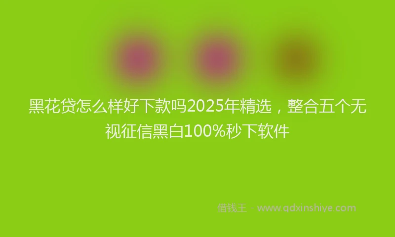 黑花贷怎么样好下款吗2025年精选，整合五个无视征信黑白100%秒下软件