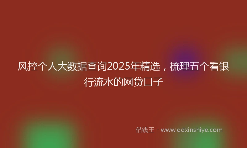 风控个人大数据查询2025年精选，梳理五个看银行流水的网贷口子