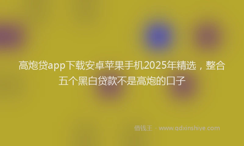 高炮贷app下载安卓苹果手机2025年精选，整合五个黑白贷款不是高炮的口子