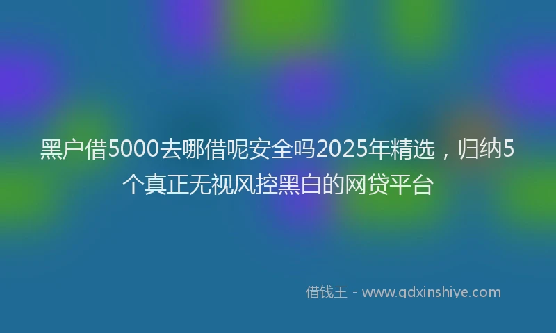 黑户借5000去哪借呢安全吗2025年精选，归纳5个真正无视风控黑白的网贷平台