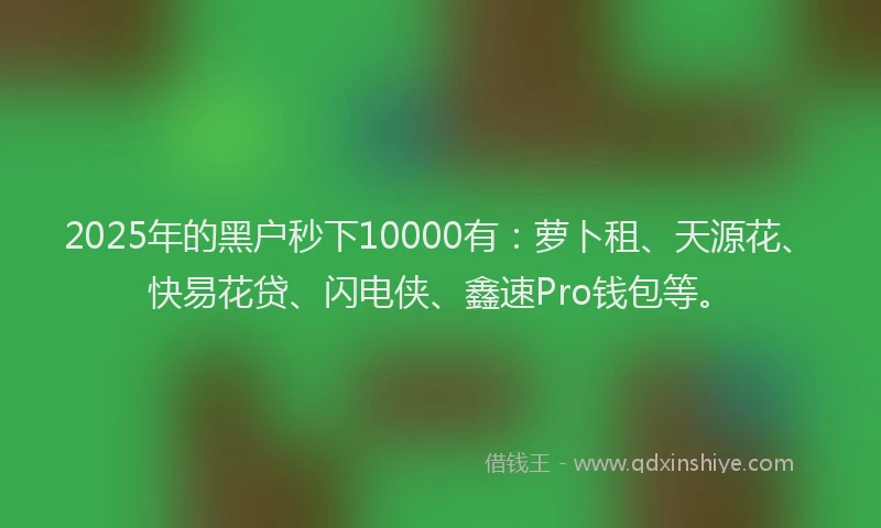 2025年的黑户秒下10000有：萝卜租、天源花、快易花贷、闪电侠、鑫速Pro钱包等。
