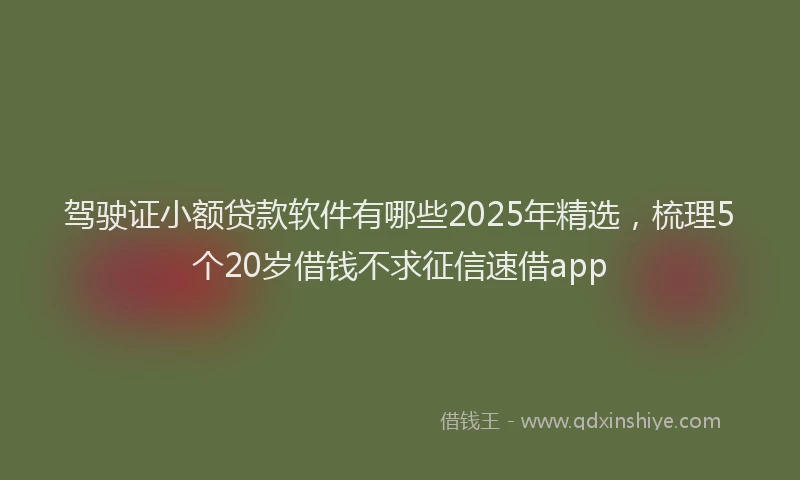 驾驶证小额贷款软件有哪些2025年精选，梳理5个20岁借钱不求征信速借app