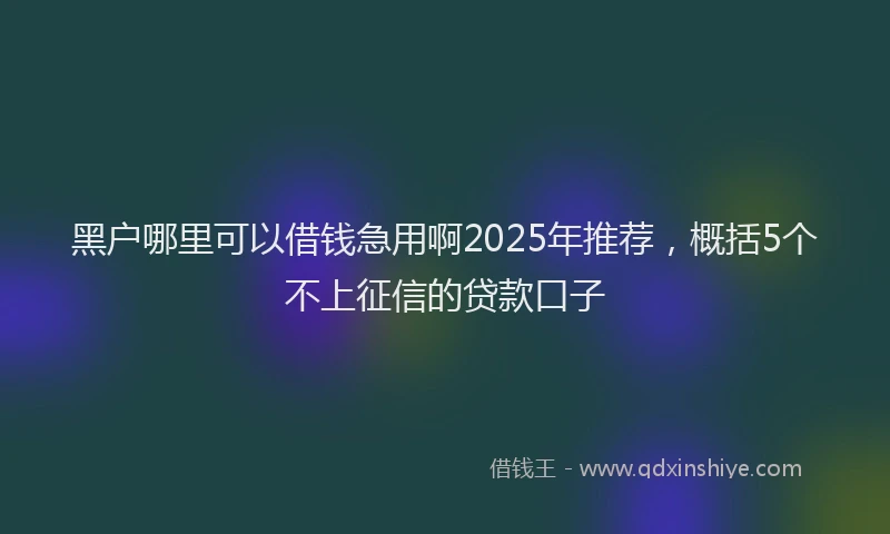 黑户哪里可以借钱急用啊2025年推荐，概括5个不上征信的贷款口子