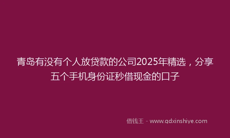 青岛有没有个人放贷款的公司2025年精选，分享五个手机身份证秒借现金的口子