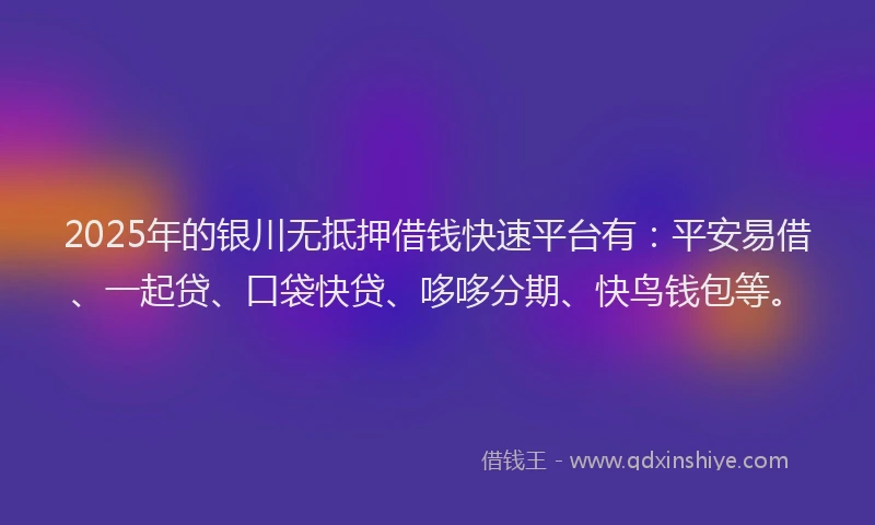 2025年的银川无抵押借钱快速平台有：平安易借、一起贷、口袋快贷、哆哆分期、快鸟钱包等。