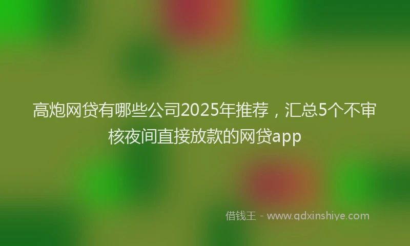 高炮网贷有哪些公司2025年推荐，汇总5个不审核夜间直接放款的网贷app