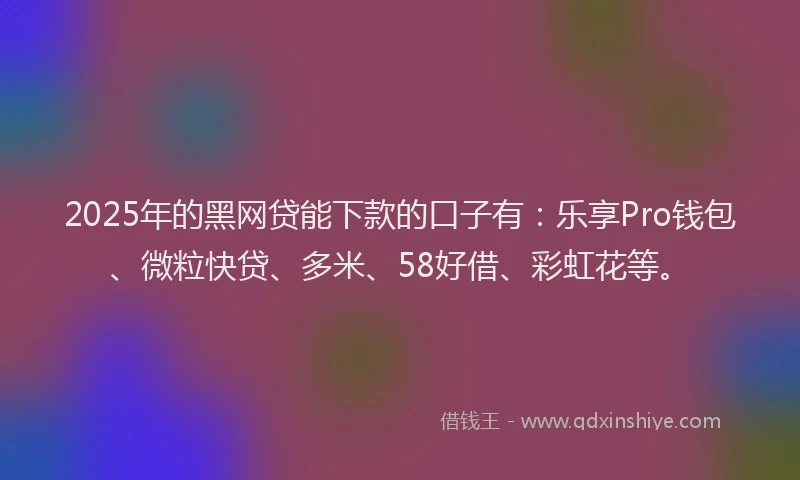 2025年的黑网贷能下款的口子有：乐享Pro钱包、微粒快贷、多米、58好借、彩虹花等。