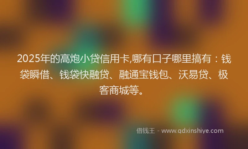 2025年的高炮小贷信用卡,哪有口子哪里搞有：钱袋瞬借、钱袋快融贷、融通宝钱包、沃易贷、极客商城等。
