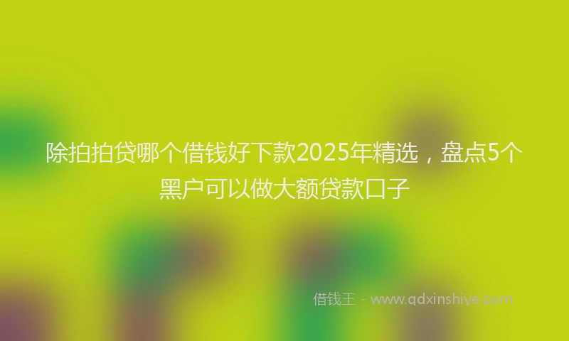 除拍拍贷哪个借钱好下款2025年精选，盘点5个黑户可以做大额贷款口子