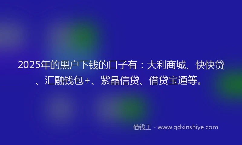 2025年的黑户下钱的口子有：大利商城、快快贷、汇融钱包+、紫晶信贷、借贷宝通等。