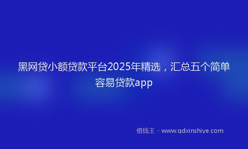 黑网贷小额贷款平台2025年精选，汇总五个简单容易贷款app