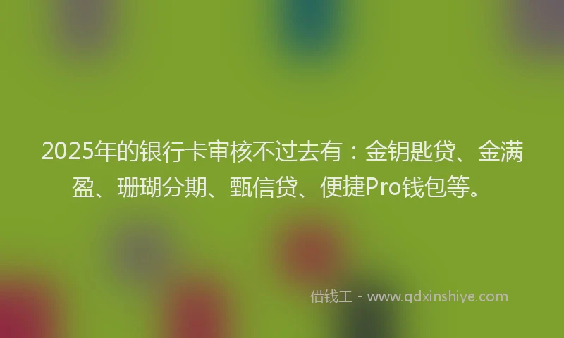 2025年的银行卡审核不过去有：金钥匙贷、金满盈、珊瑚分期、甄信贷、便捷Pro钱包等。