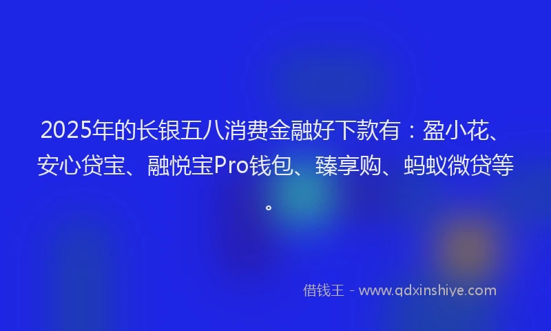 2025年的长银五八消费金融好下款有：盈小花、安心贷宝、融悦宝Pro钱包、臻享购、蚂蚁微贷等。