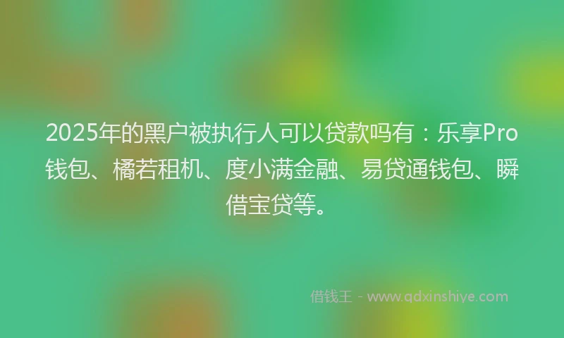 2025年的黑户被执行人可以贷款吗有：乐享Pro钱包、橘若租机、度小满金融、易贷通钱包、瞬借宝贷等。