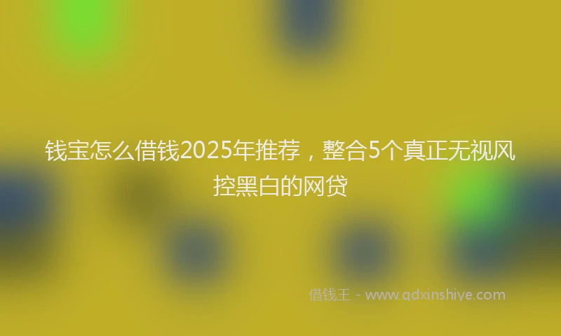 钱宝怎么借钱2025年推荐，整合5个真正无视风控黑白的网贷
