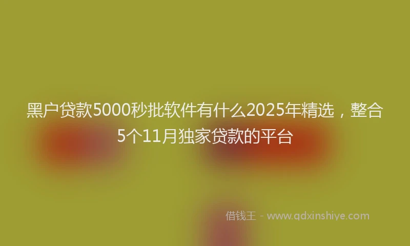 黑户贷款5000秒批软件有什么2025年精选，整合5个11月独家贷款的平台
