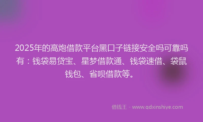 2025年的高炮借款平台黑口子链接安全吗可靠吗有：钱袋易贷宝、星梦借款通、钱袋速借、袋鼠钱包、省呗借款等。