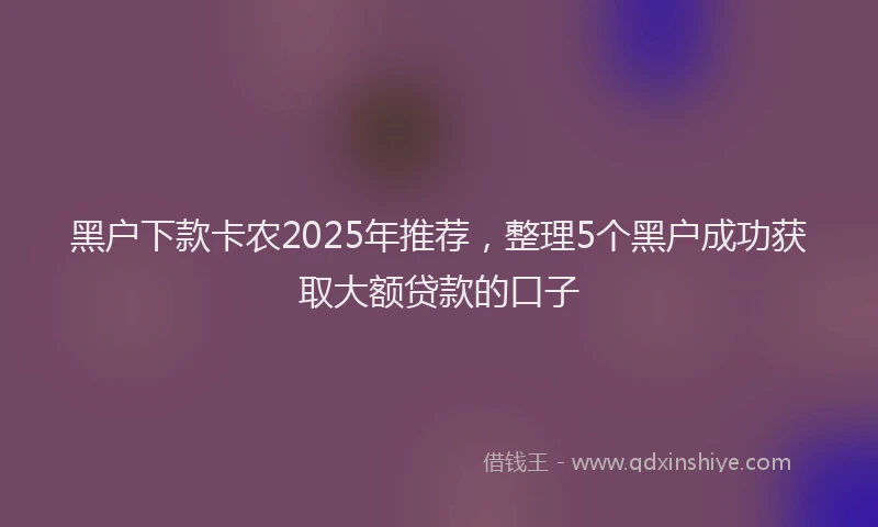 黑户下款卡农2025年推荐，整理5个黑户成功获取大额贷款的口子