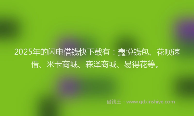 2025年的闪电借钱快下载有：鑫悦钱包、花呗速借、米卡商城、森泽商城、易得花等。