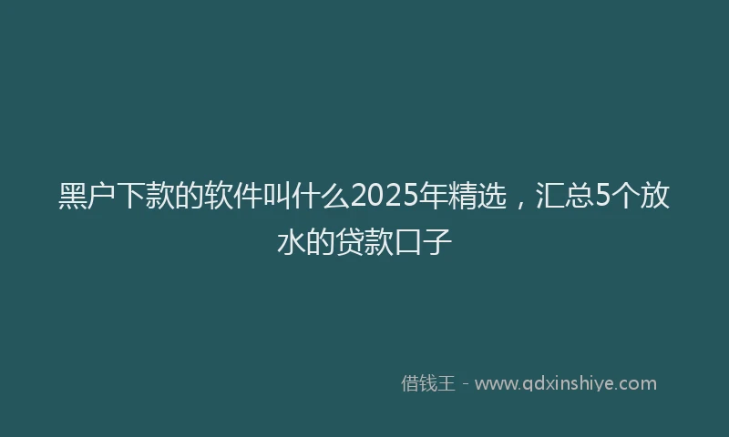 黑户下款的软件叫什么2025年精选，汇总5个放水的贷款口子