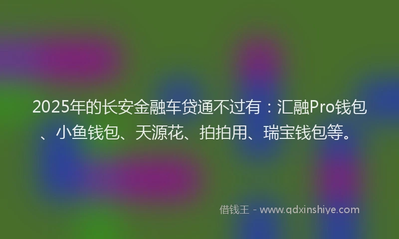 2025年的长安金融车贷通不过有：汇融Pro钱包、小鱼钱包、天源花、拍拍用、瑞宝钱包等。
