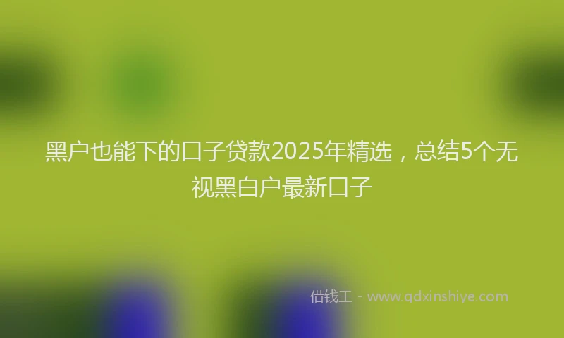 黑户也能下的口子贷款2025年精选，总结5个无视黑白户最新口子