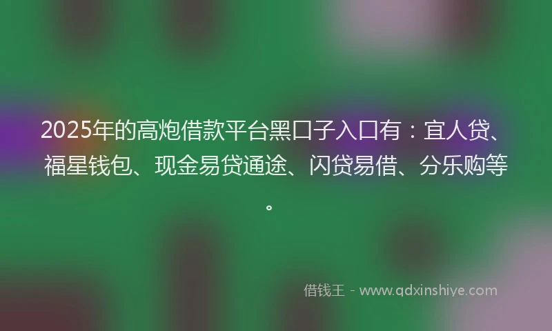 2025年的高炮借款平台黑口子入口有：宜人贷、福星钱包、现金易贷通途、闪贷易借、分乐购等。