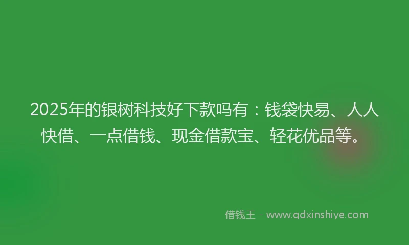 2025年的银树科技好下款吗有：钱袋快易、人人快借、一点借钱、现金借款宝、轻花优品等。