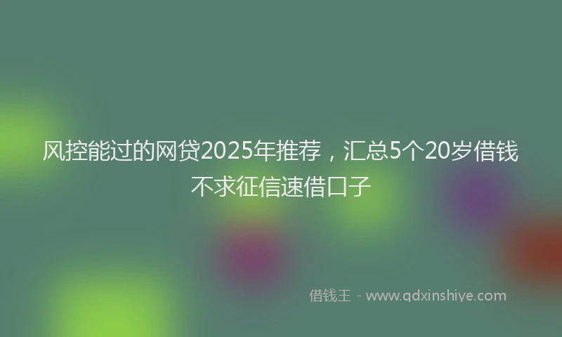 风控能过的网贷2025年推荐，汇总5个20岁借钱不求征信速借口子