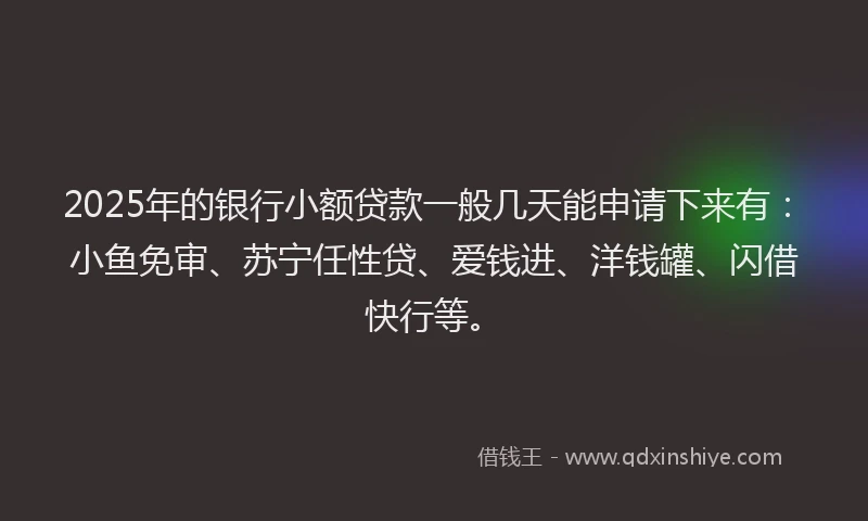 2025年的银行小额贷款一般几天能申请下来有：小鱼免审、苏宁任性贷、爱钱进、洋钱罐、闪借快行等。