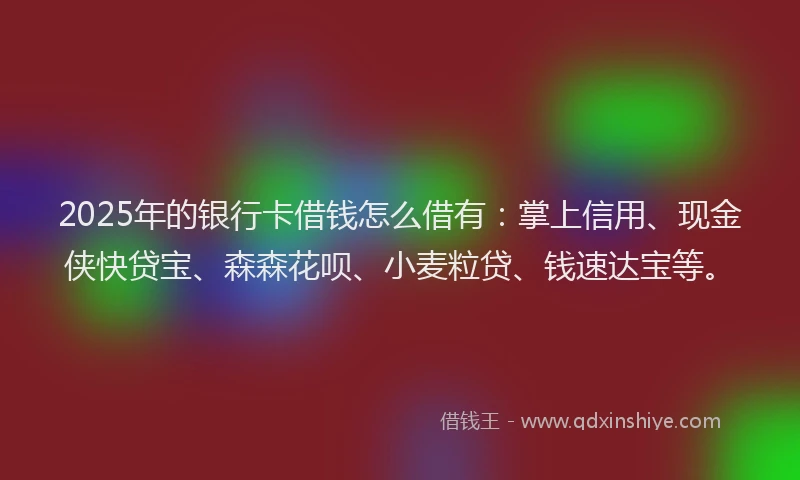 2025年的银行卡借钱怎么借有：掌上信用、现金侠快贷宝、森森花呗、小麦粒贷、钱速达宝等。