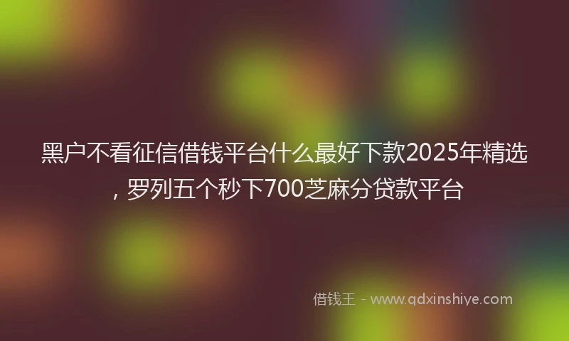 黑户不看征信借钱平台什么最好下款2025年精选，罗列五个秒下700芝麻分贷款平台