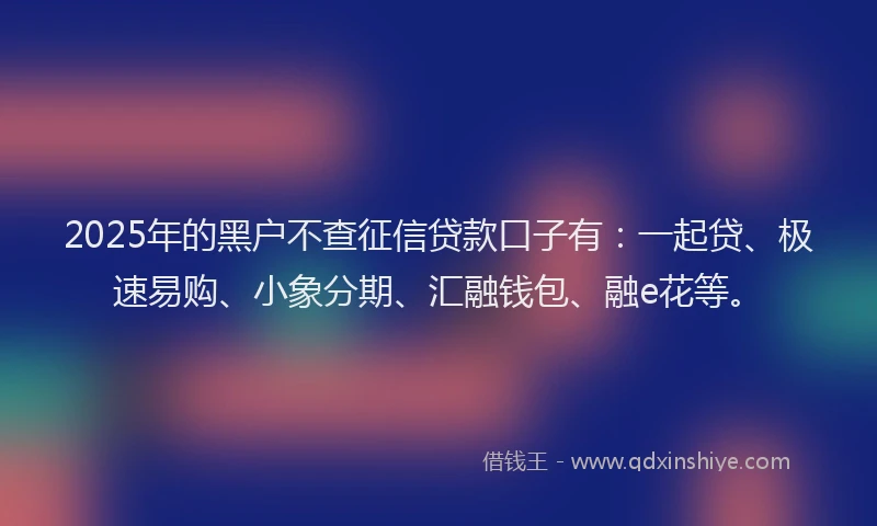 2025年的黑户不查征信贷款口子有：一起贷、极速易购、小象分期、汇融钱包、融e花等。