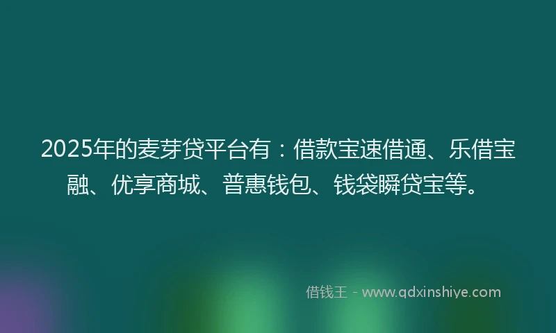 2025年的麦芽贷平台有：借款宝速借通、乐借宝融、优享商城、普惠钱包、钱袋瞬贷宝等。