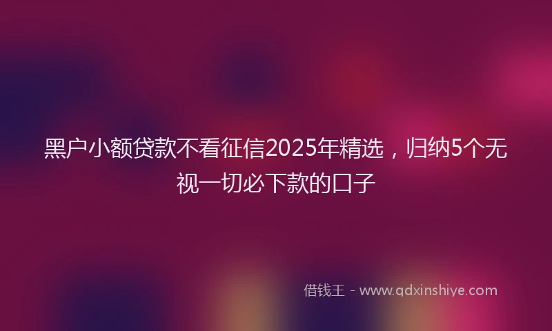 黑户小额贷款不看征信2025年精选，归纳5个无视一切必下款的口子