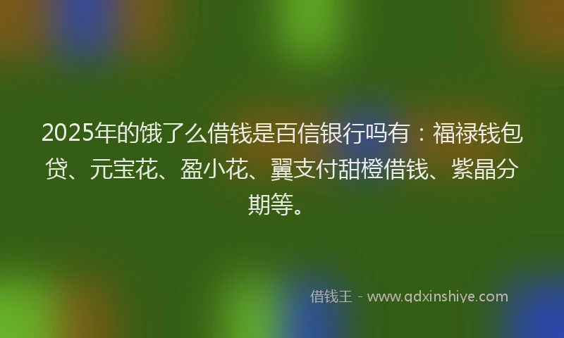 2025年的饿了么借钱是百信银行吗有：福禄钱包贷、元宝花、盈小花、翼支付甜橙借钱、紫晶分期等。