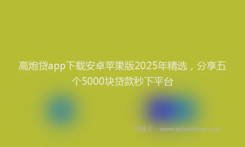 高炮贷app下载安卓苹果版2025年精选，分享五个5000块贷款秒下平台